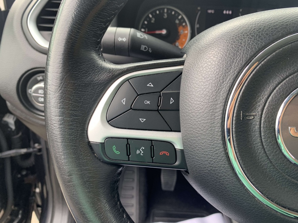 JEEP RENEGADE Limited Advanced Technologies 